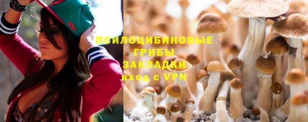 дмт Новозыбков