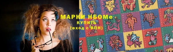 прущие грибы Нязепетровск