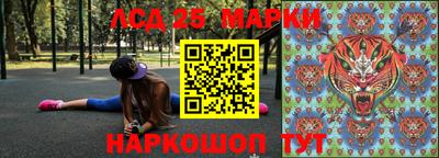 гашик Аргун