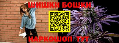 гашик Аргун