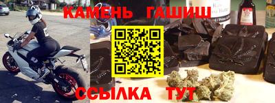 гашик Аргун