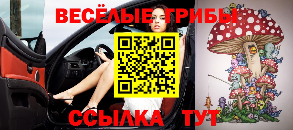 Галлюциногенные грибы мицелий  Вход с VPN  Тулун 